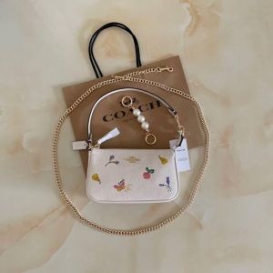Coach_Nolita_19_Fruit_Sling_Bag_With_Box_Dust_Bag_Sling_Chain
