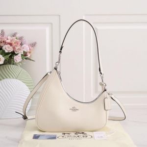 Coach_Twisted_Teri_Shoulder_Bag_Signature_Canvas_With_OG_Box_Carry_Bag_CB102_Off_White