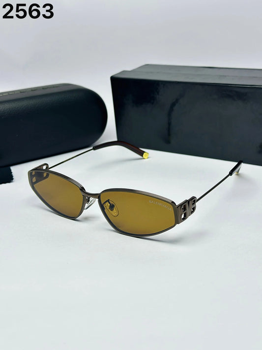 Balenciaga 2563 Brown 